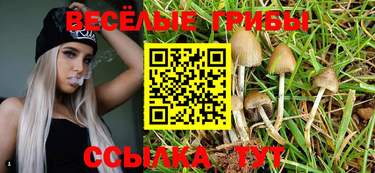 Зерноград  Галлюциногенные грибы Cubensis  купить наркотик  Вход с VPN 